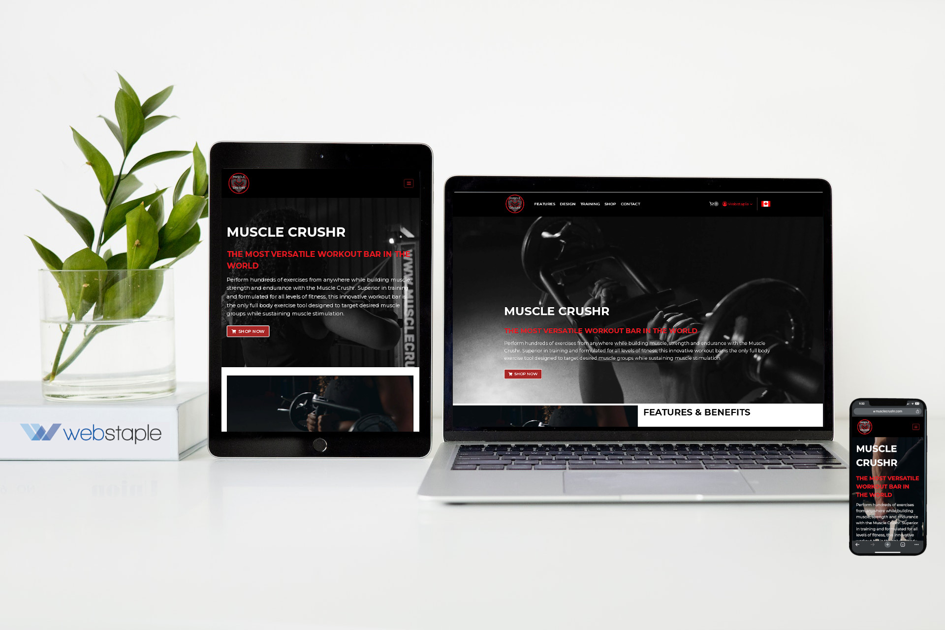 Muscle Crushr - eCommerce Web design - Webstaple Web Design